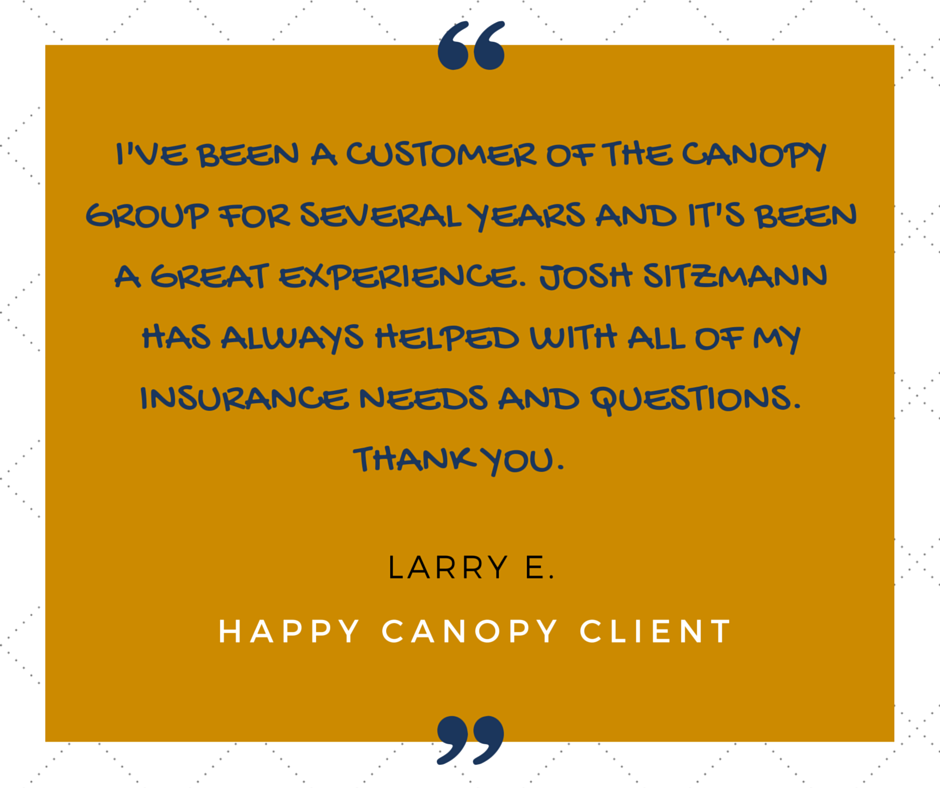 The Canopy Group | 100 E Main St, Belle Plaine, MN 56011, USA | Phone: (800) 967-3389