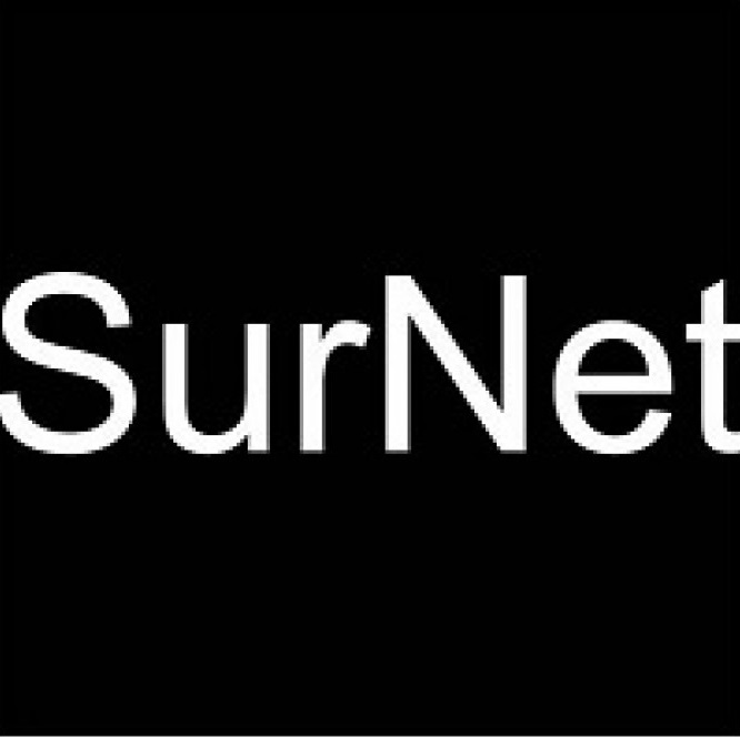 SurNet Insurance Group Inc./ Access Group Commercial Consultants | 845 Upper James St, Hamilton, ON L9C 3A3, Canada | Phone: (905) 525-3000