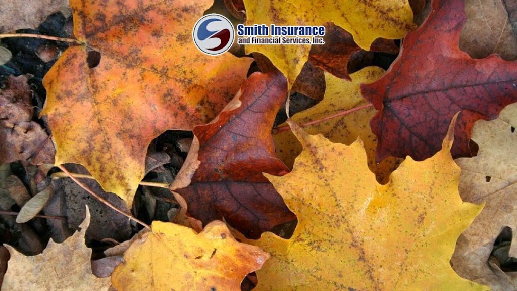 Smith Insurance & Financial Services | W230S8735 Clark St, Big Bend, WI 53103, USA | Phone: (262) 662-4327