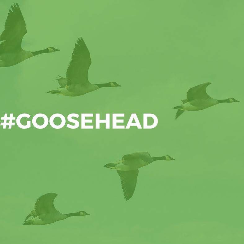 Goosehead Insurance | 106 Crofton Dr #9, Palmyra, VA 22963, USA | Phone: (434) 589-1447