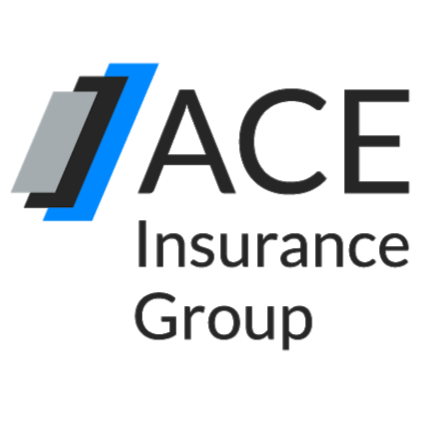 Ace Insurance Group | 5944 Seminole Centre Ct Suite 200, Madison, WI 53711, USA | Phone: (608) 467-5604