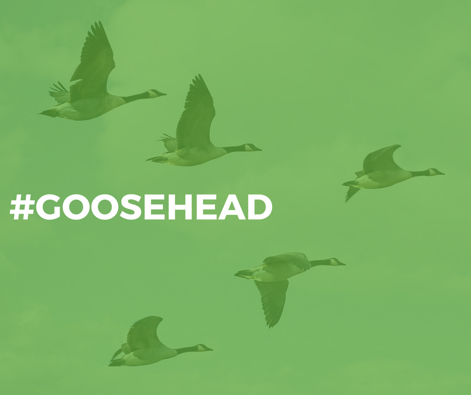 Goosehead Insurance - Doug Lowry | 4645 Wyndham Lane Ste 160B #3, Frisco, TX 75033, USA | Phone: (214) 356-3124