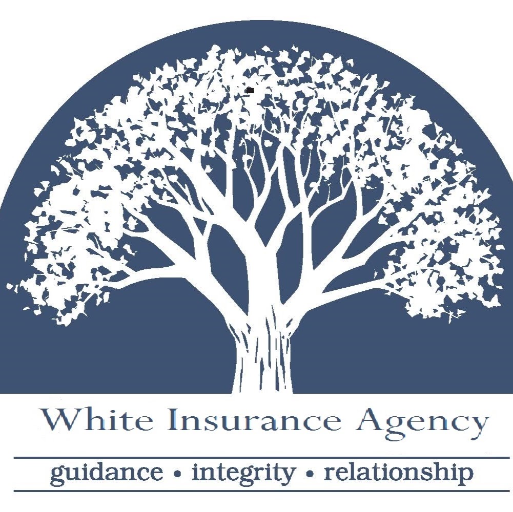 White Insurance Agency S. Asheville Office | 2124 Hendersonville Rd, Arden, NC 28704, USA | Phone: (828) 684-8111