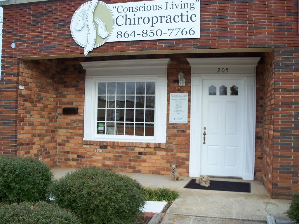 Conscious Living Chiropractic | 205 E 1st Ave, Easley, SC 29640, USA | Phone: (864) 850-7766