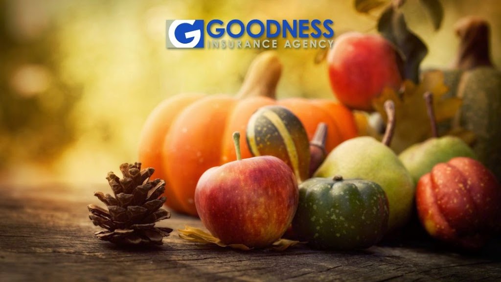 Goodness Insurance | 2312 N Grandview Blvd #206, Waukesha, WI 53188, USA | Phone: (262) 547-7965