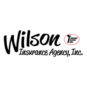 Wilson Insurance Agency | 329 Edward St, Henry, IL 61537, USA | Phone: (309) 364-2342