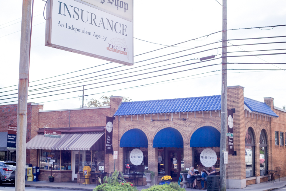 Trout Insurance Services | 29 N Main St, Weaverville, NC 28787, USA | Phone: (828) 279-4681