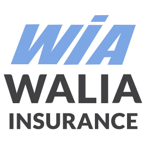 Walia Insurance | 9373 120 St, Delta, BC V4C 6R9, Canada | Phone: (604) 588-6141