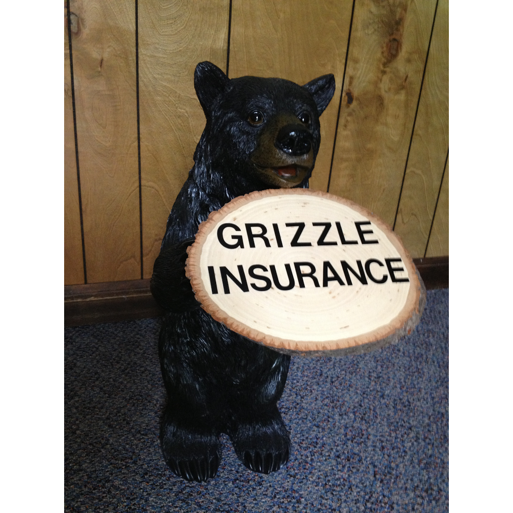 Grizzle Insurance Agency, Inc. - Carol G Ball | 143 Glyness St, Jasper, GA 30143, USA | Phone: (706) 692-5885