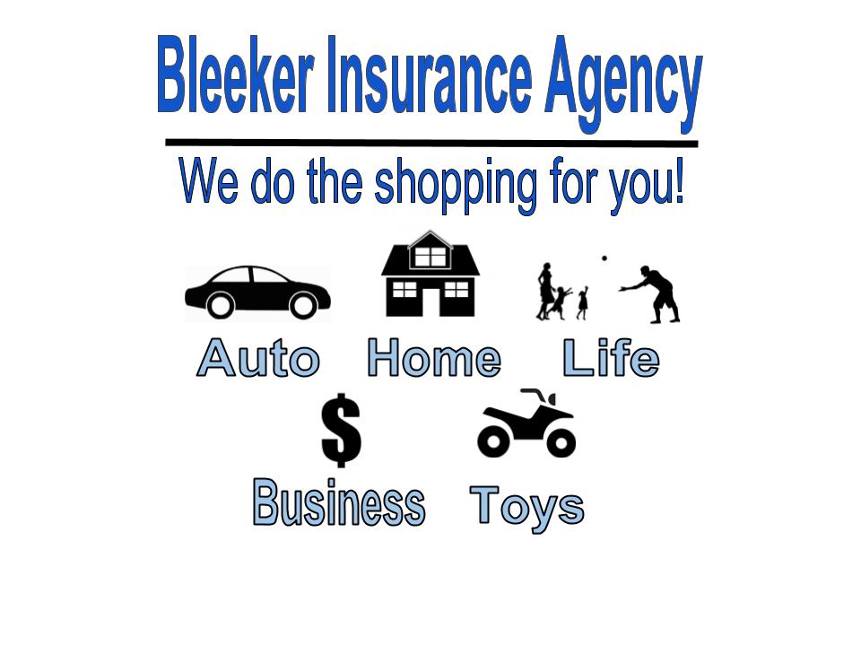 Bleeker Insurance Agency Inc. | 206 S 3rd Ave, Big Rapids, MI 49307, USA | Phone: (231) 796-2014