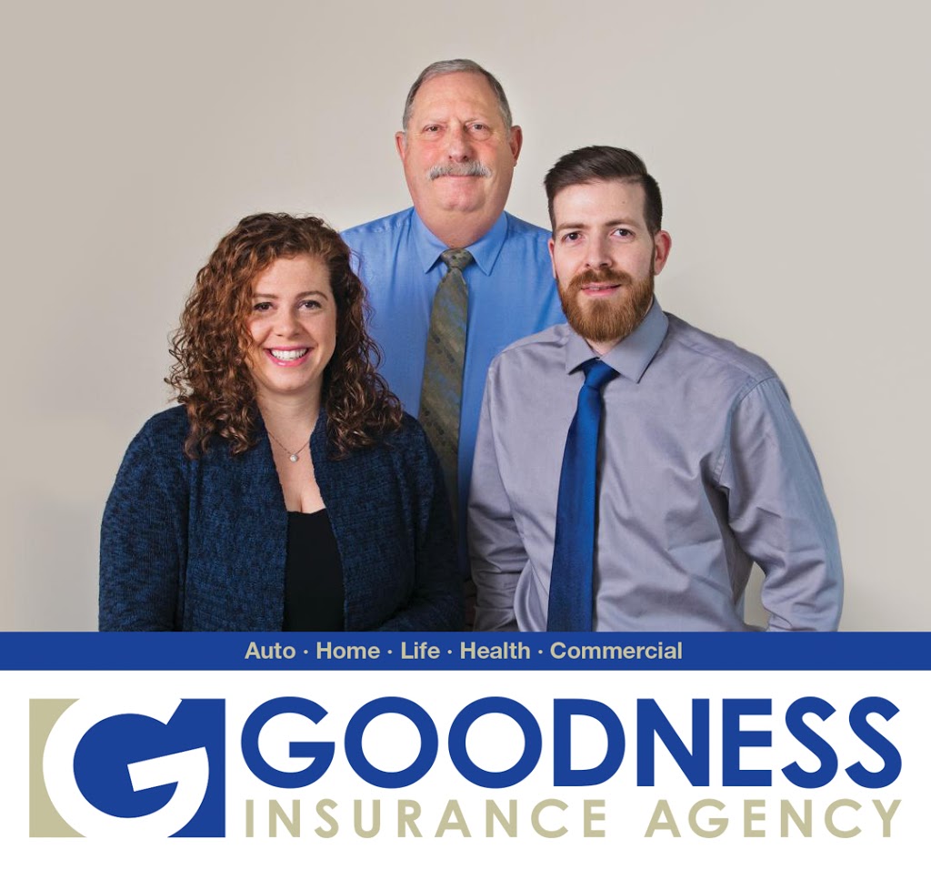 Goodness Insurance | 2312 N Grandview Blvd #206, Waukesha, WI 53188, USA | Phone: (262) 547-7965