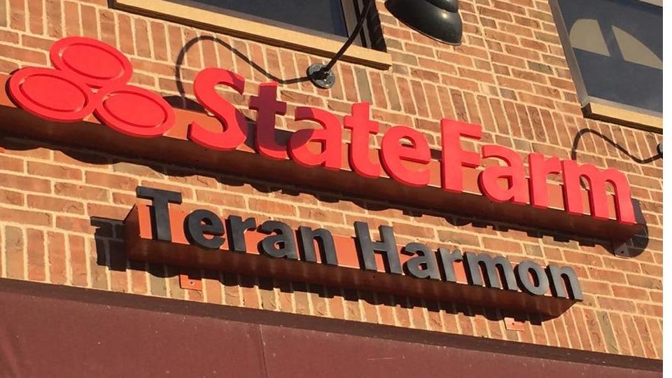 Teran Harmon - State Farm Insurance Agent | 919 Vermillion St Suite 130, Hastings, MN 55033, USA | Phone: (651) 432-3911