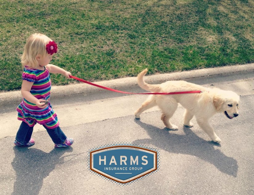 Harms Insurance Group | 804 Liberty Blvd suite 203, Sun Prairie, WI 53590, USA | Phone: (608) 837-2484