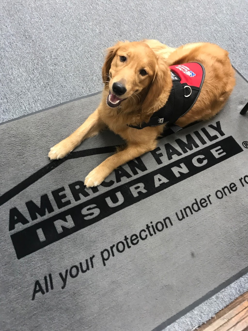 American Family Insurance - Brenda Holzer | 3356 Kimball Ave #2, Waterloo, IA 50702, USA | Phone: (319) 233-1555