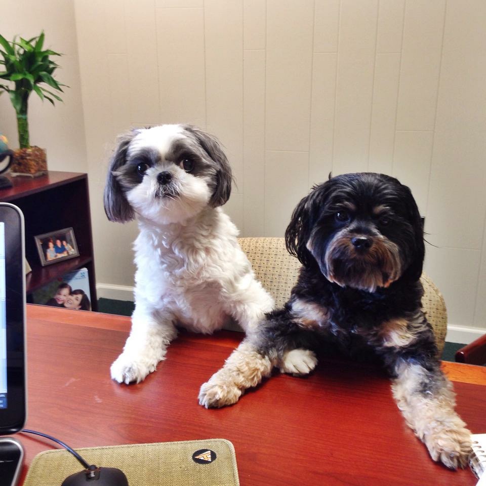The Juengel Agency | 1278 Hendersonville Rd c, Asheville, NC 28803, USA | Phone: (828) 274-6036