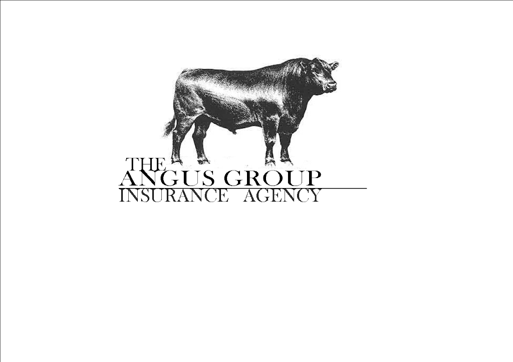 Angus Group Insurance | 116 Rockingham Rd, Londonderry, NH 03053, USA | Phone: (603) 421-0021