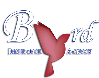 Byrd Insurance Inc | 1509 South St #3, Leesburg, FL 34748, USA | Phone: (352) 326-5400