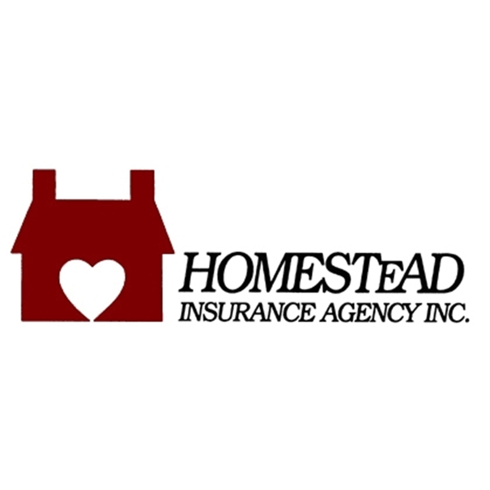 Homestead Insurance Agency Inc | 1324 Pearl Rd, Brunswick, OH 44212, USA | Phone: (330) 225-3100