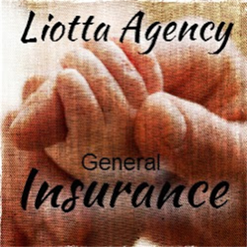 Liotta Agency Inc. | 1 Albany Ave, Suite G-8, Kingston, NY 12401, USA | Phone: (845) 514-2555