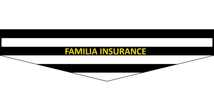 FAMILIA INSURANCE AGENCY INC | 3140 Moseley Dr STE J, Greenville, NC 27858, USA | Phone: (252) 689-6223