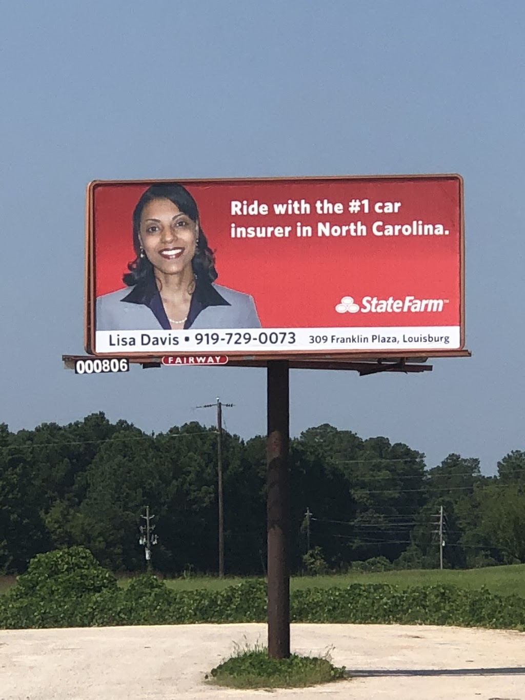 Lisa Davis - State Farm Insurance Agent | 309 Franklin Plaza, Louisburg, NC 27549, USA | Phone: (919) 729-0073