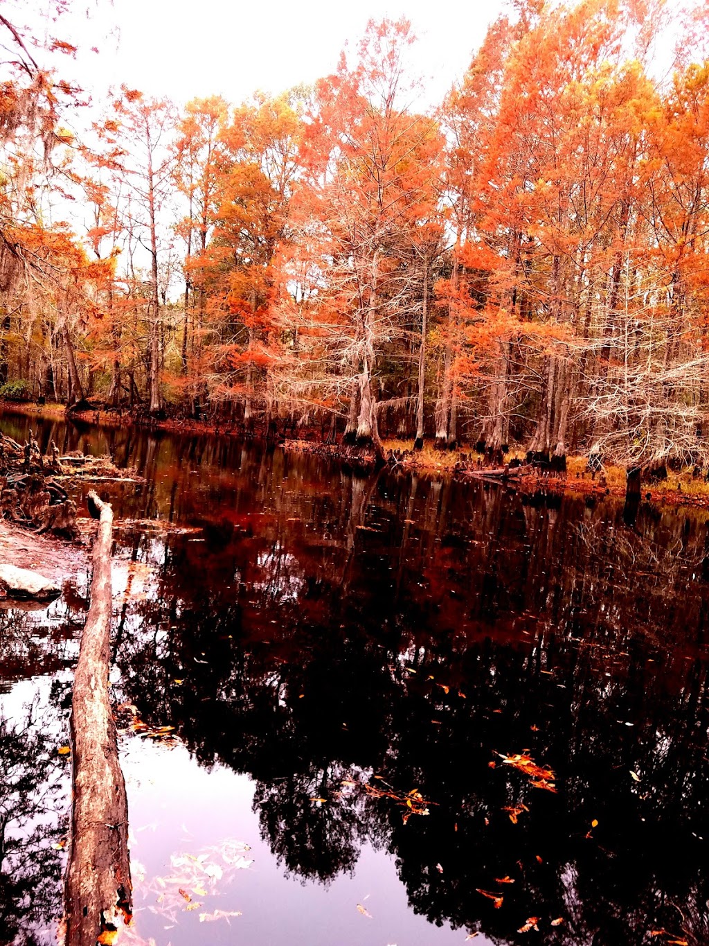 Singletary Bridge | Lumberton, NC 28358, USA