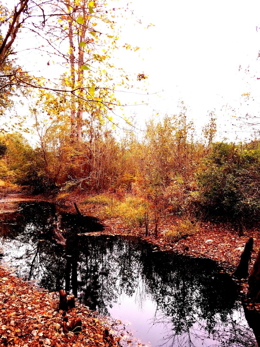 Singletary Bridge | Lumberton, NC 28358, USA