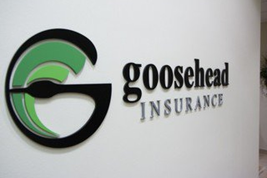 Goosehead Insurance- Ryan Insurance Group, LLC. | 7151 N Main St, Village of Clarkston, MI 48346, USA | Phone: (248) 605-8891