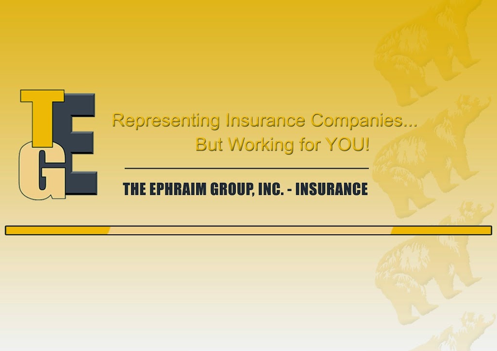 The Ephraim Group Inc | 1674 Lawrenceville-Suwanee Rd, Lawrenceville, GA 30043, USA | Phone: (770) 676-6688