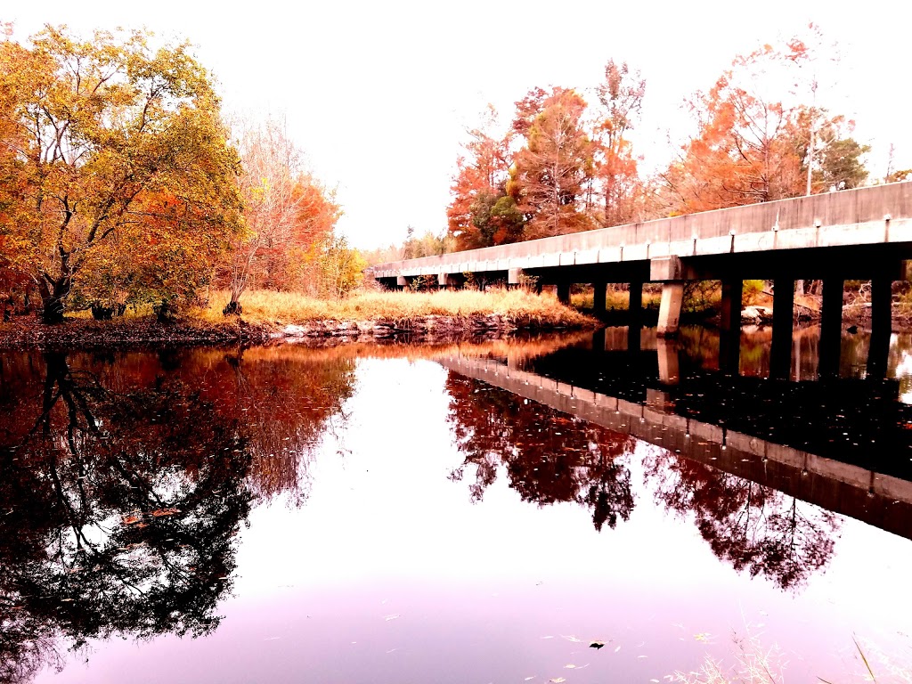 Singletary Bridge | Lumberton, NC 28358, USA