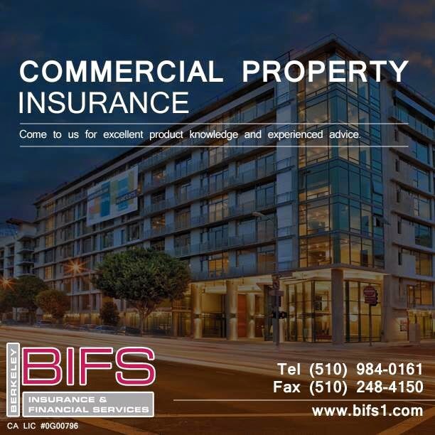 Berkeley Insurance & Financial Services | 555 Pierce Street CML#2, Albany, CA 94706, USA | Phone: (800) 500-4440