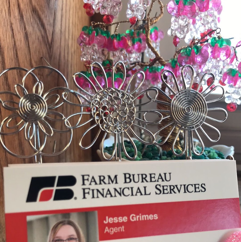 Farm Bureau Financial Service Jesse Grimes | 705 Marshall St, Albert Lea, MN 56007, USA | Phone: (507) 668-6006