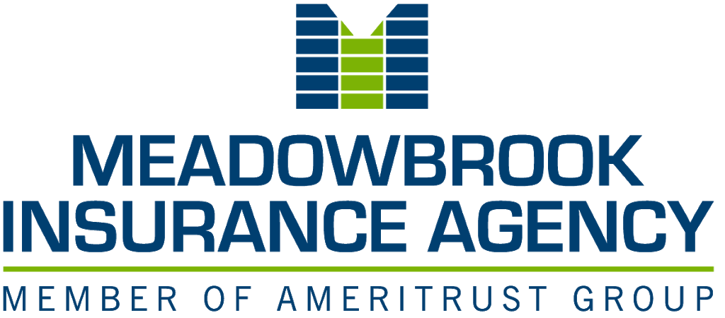 Meadowbrook Insurance Agency | 26255 American Dr Suite 100, Southfield, MI 48034, USA | Phone: (800) 875-8395