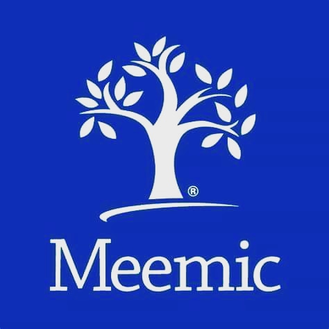 Manessa Agency - Meemic Insurance Agent | 6743 Middlebelt Rd, Garden City, MI 48135, USA | Phone: (734) 881-0001