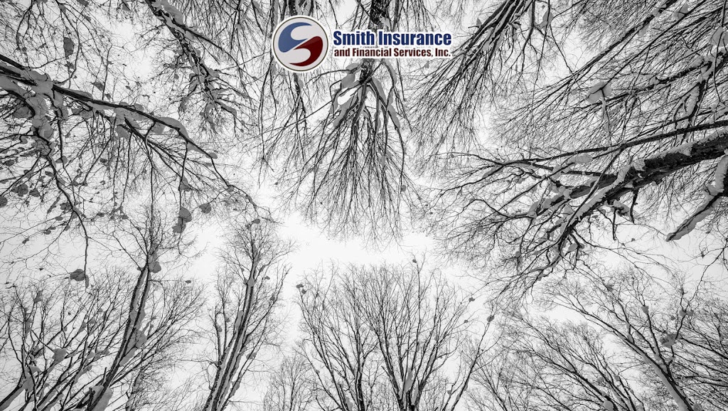 Smith Insurance & Financial Services | W230S8735 Clark St, Big Bend, WI 53103, USA | Phone: (262) 662-4327