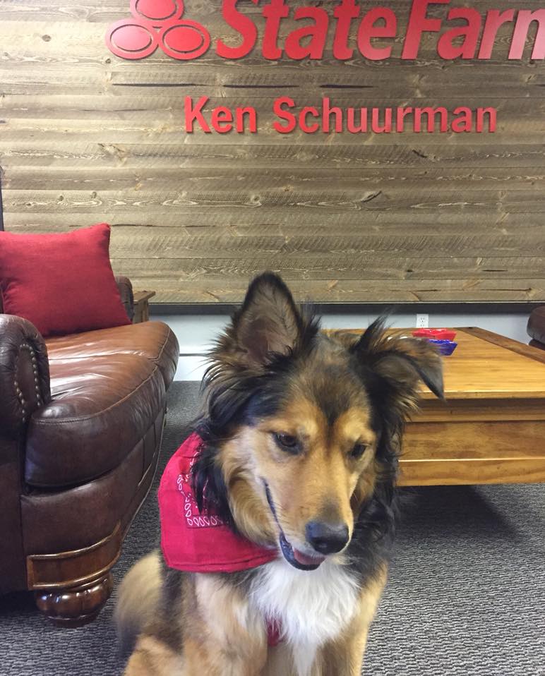 Ken Schuurman - State Farm Insurance Agent | 4319 Marconi Ave Suite B, Sacramento, CA 95821, USA | Phone: (916) 619-6161