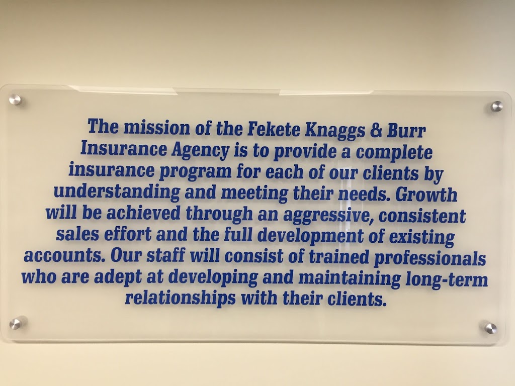 Fekete Knaggs & Burr Agency | 1025 S Mitchell St, Cadillac, MI 49601, USA | Phone: (231) 779-7919