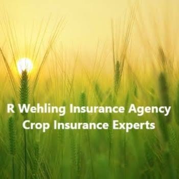 R Wehling Insurance Agency | Crop Insurance | 7047 Koufax Ct, Edwardsville, IL 62025, USA | Phone: (618) 401-6226