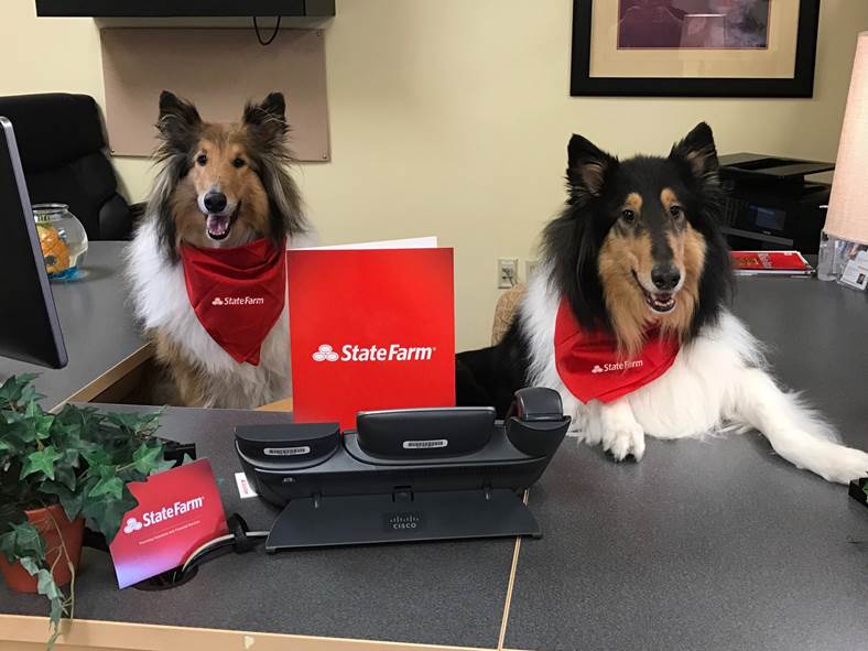 Jean Stewart-Wertz - State Farm Insurance Agent | 8961 Columbia Rd, Loveland, OH 45140, USA | Phone: (513) 683-5404