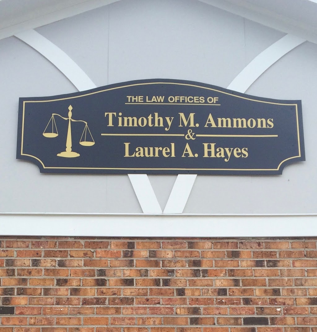 Law Office of Timothy M. Ammons and Laurel A. Hayes | 312 W Main St, Dillon, SC 29536, USA | Phone: (843) 774-2308