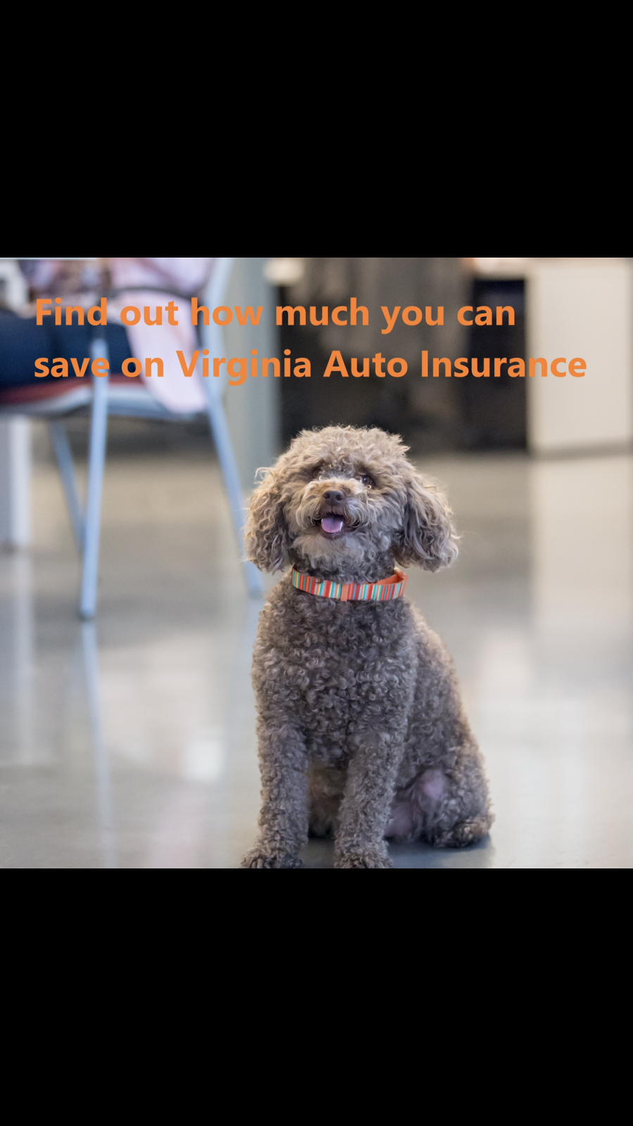 TJC INSURANCE | 2433 Valley Ave #103, Winchester, VA 22601, USA | Phone: (540) 319-4229