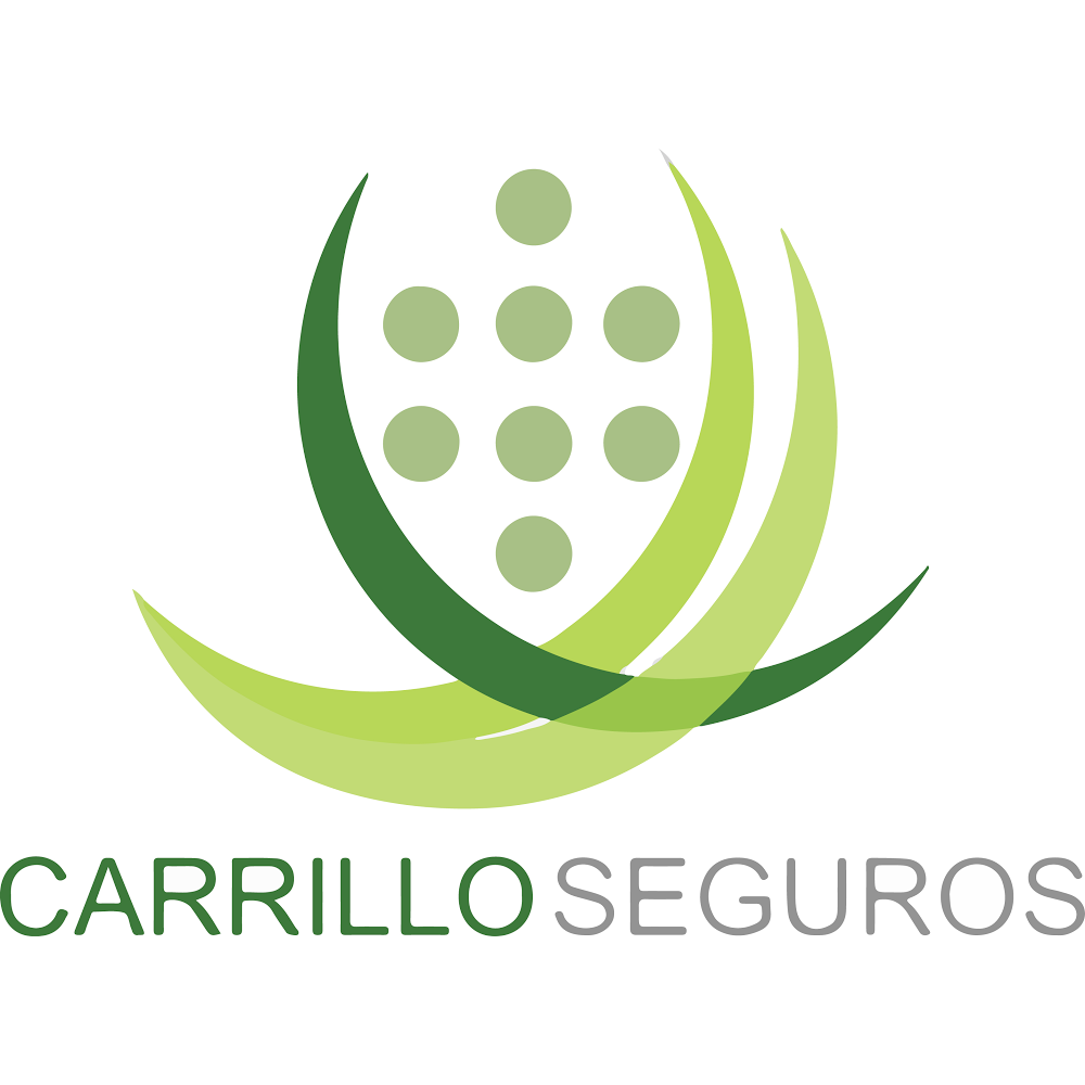 Carrillo Seguros | Av. Revolución 1129, Centro, 22000 Tijuana, B.C., Mexico | Phone: 01 664 688 0116