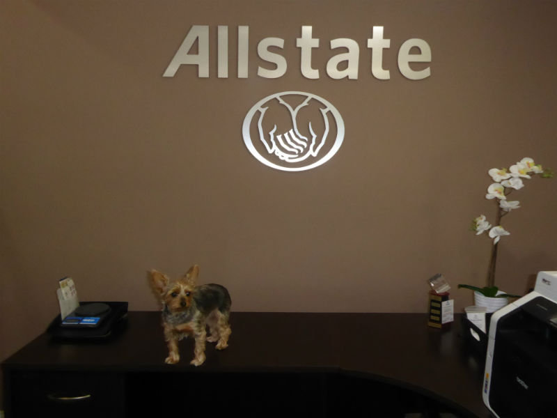 Connie Coots: Allstate Insurance | 1137 Steffen Ln, Wilder, KY 41076, USA | Phone: (859) 781-8888