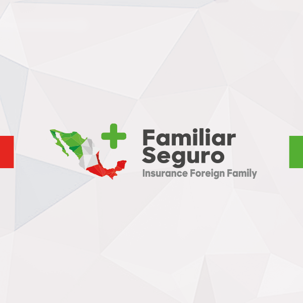 Familiar Seguro | 25420 Kuykendahl Rd Suite B100, Tomball, TX 77375, USA | Phone: (800) 953-0032