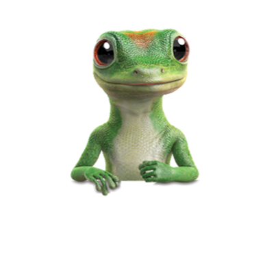 Geico Insurance | 3348 Clays Mill Rd #141, Lexington, KY 40503, USA | Phone: (380) 222-2336